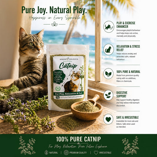 Amorevolezza Catnip (Pure natural herb - Relaxation fun) - 70g
