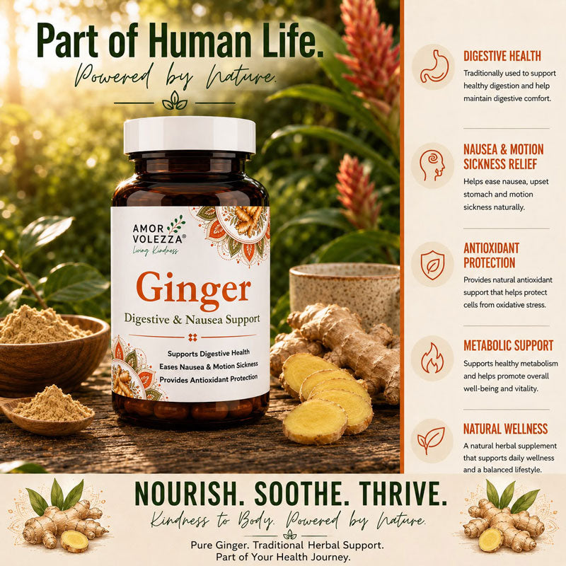 Ginger (Digestive & Nausea Support) 60 caps