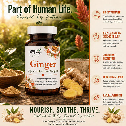 Ginger (Digestive & Nausea Support) 60 caps