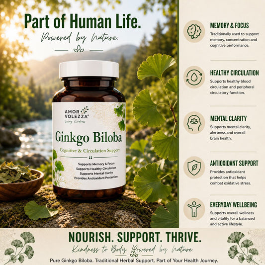 Ginkgo Biloba (Cognitive & Circulation Support) 30 caps