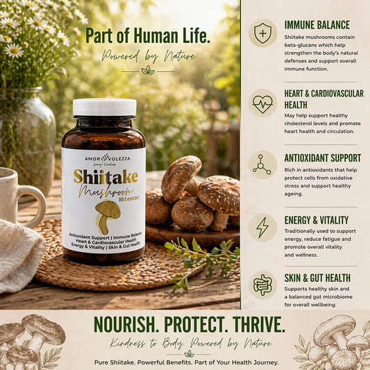 Shiitake Medical Mushroom 10:1 Extract - 120 caps