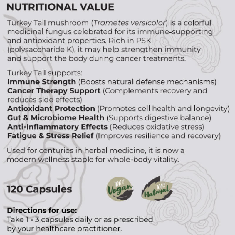 Turkey Tail (Immune Support) Medical Mushroom 10:1 Extract - 120 caps