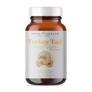 Turkey Tail Medicinal Mushroom 120 capsules. 10:1 Extract