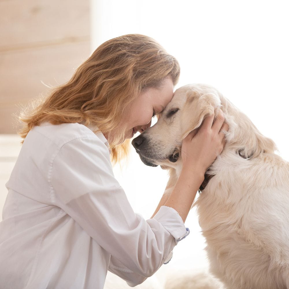 Pet Products