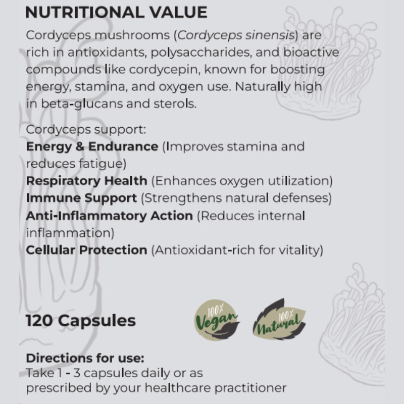 Cordyceps Medical Mushroom 10:1 Extract - 120 caps - Image 3