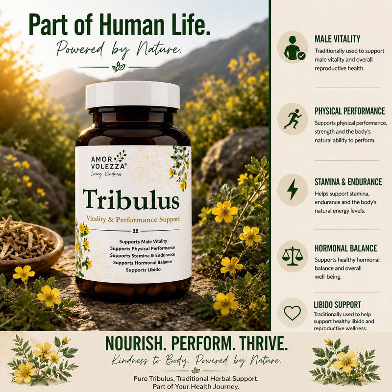 Tribulus (Vitality & Performance Support) 60 caps - Image 2